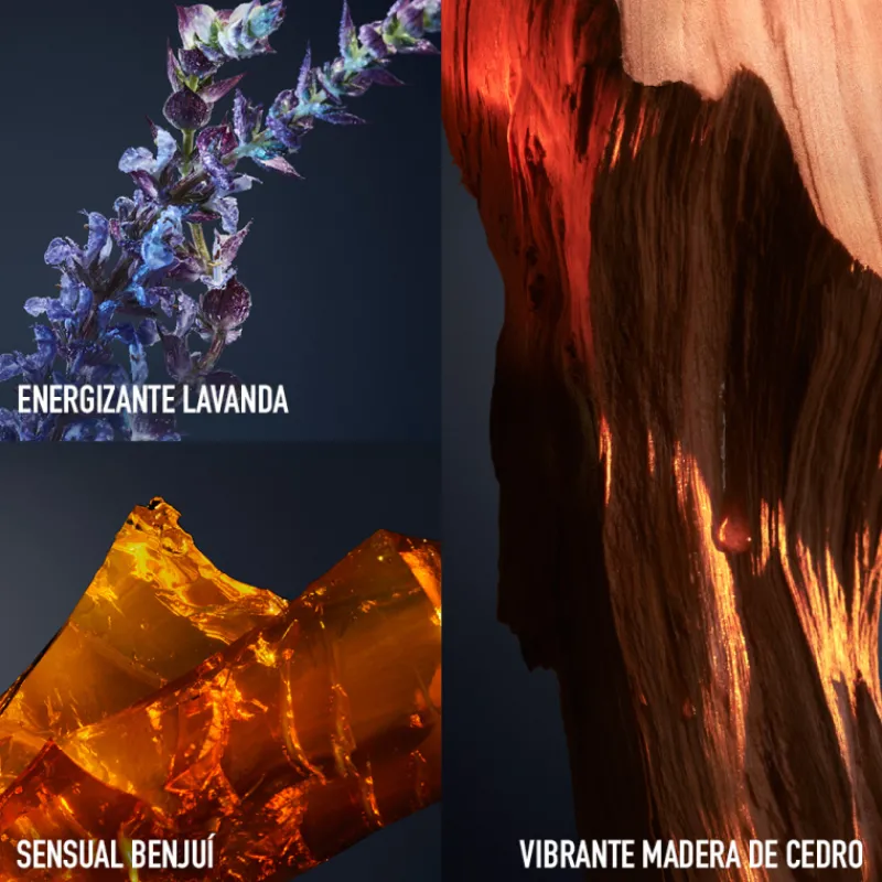 1 Million Royal EDP Vaporizador Hombre Eau De Parfum Hombre|Eau De Parfum