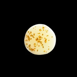 Anti Aging Oil Anti-Aging Global|Crema