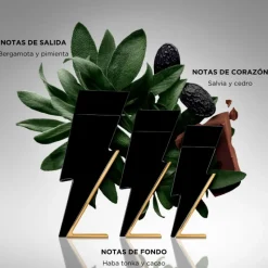 BAD BOY EAU DE TOILETTE VAPORIZADOR Hombre Eau De Toilette Hombre|Eau De Toilette