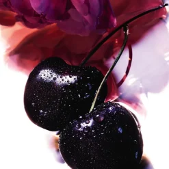 Online LA PETITE ROBE NOIRE EAU DE PARFUM 50ML Mujer Eau De Parfum Mujer